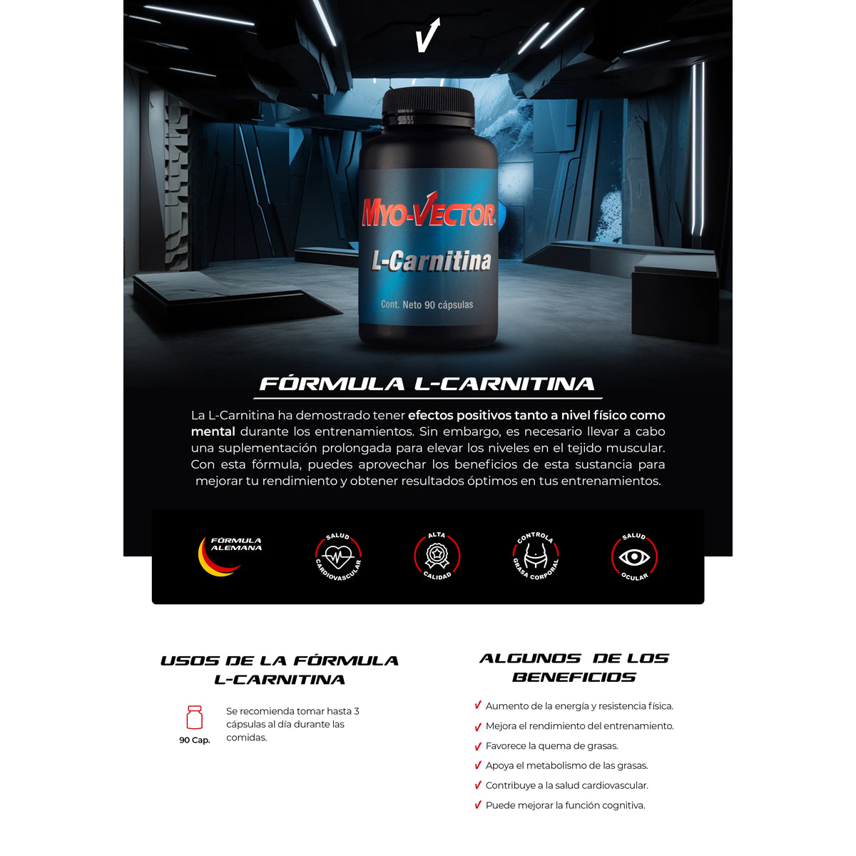 L-Carnitina 90 Caps by MYOVECTOR