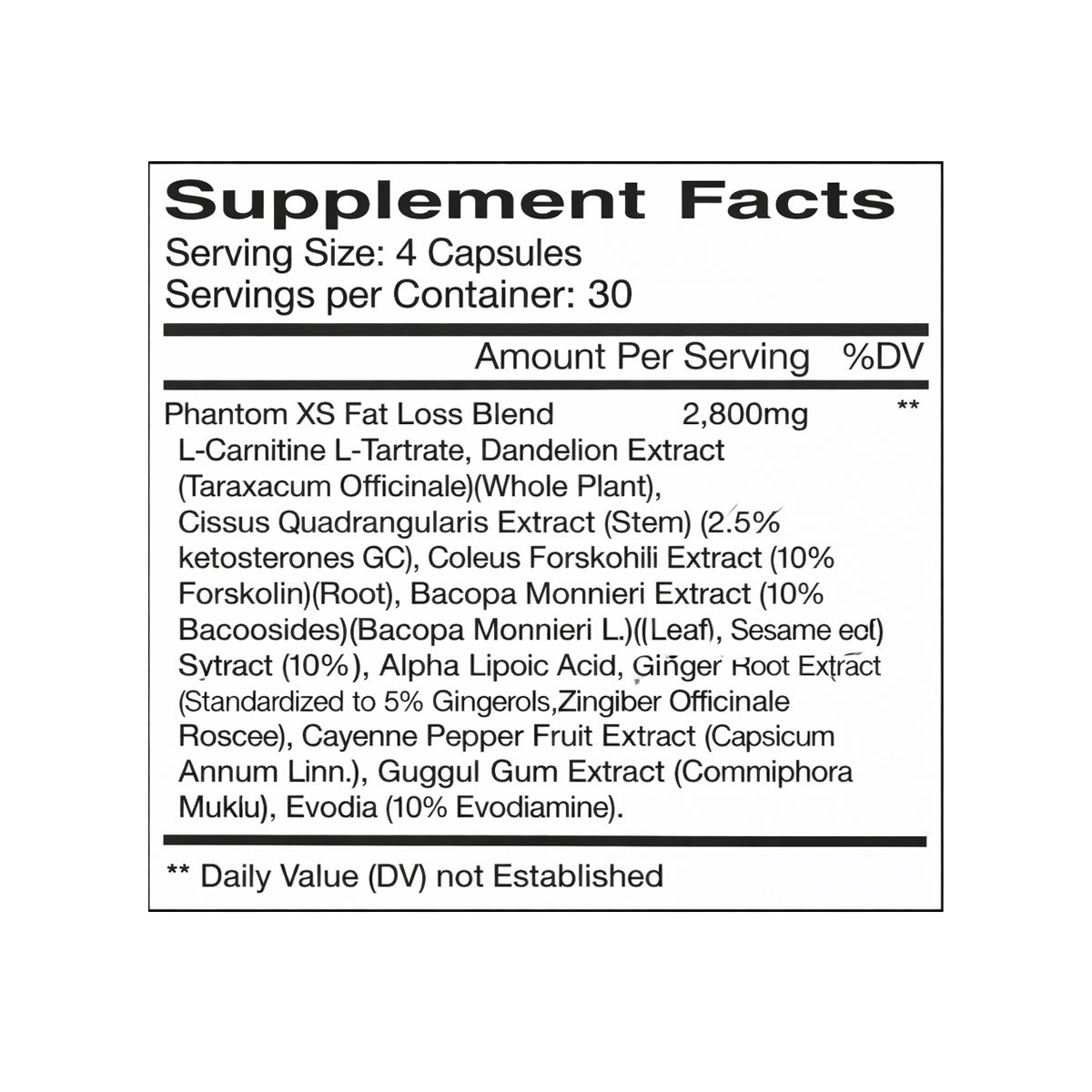 Phantom XS by NUBREED