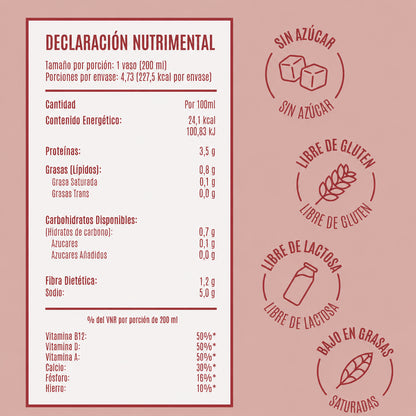Bebida Vegetal Sabor Almendras by BIRDMAN