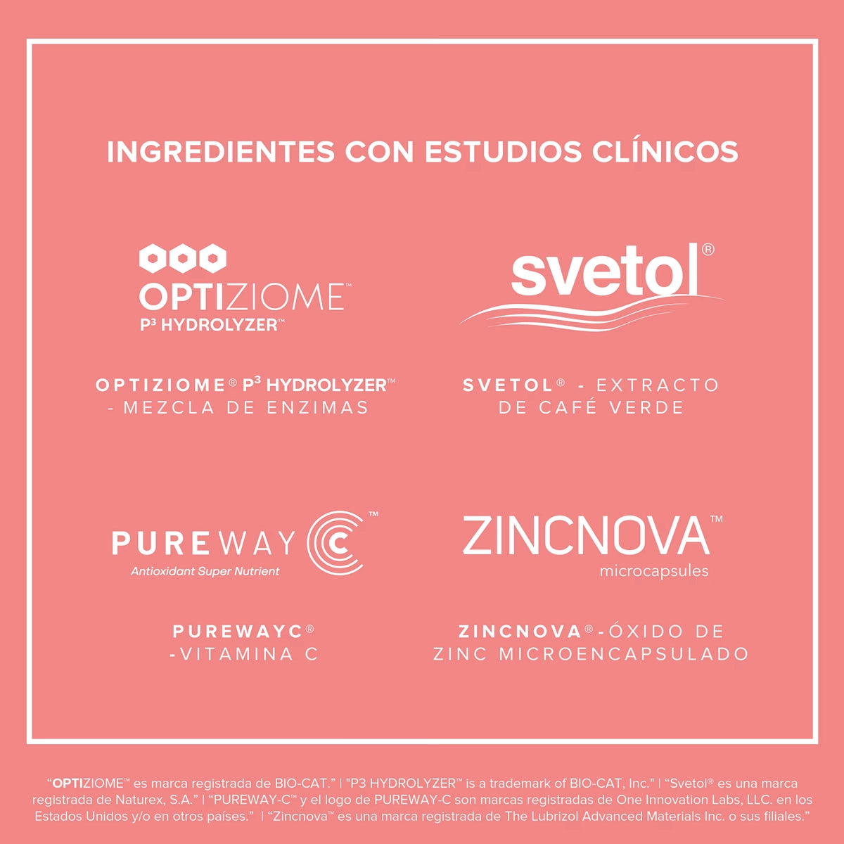 Fitmingo Proteína 1.02 KG by BIRDMAN