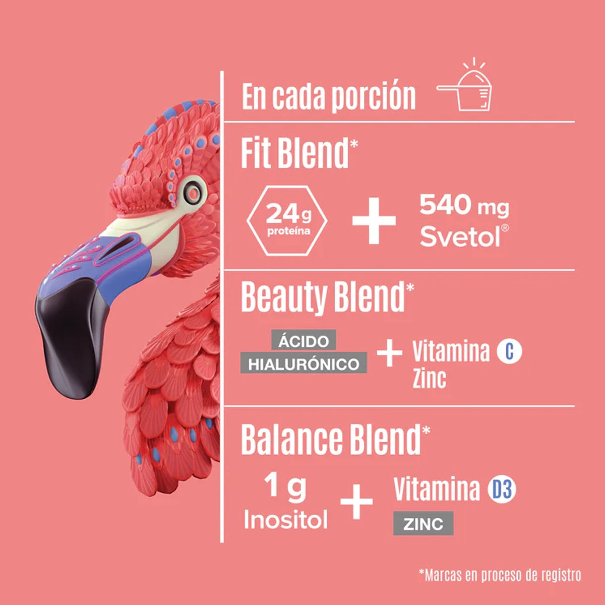 Sobre de Proteina FITMINGO by BIRDMAN