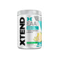 EEA's XTEND 40 Servicios by SCIVACTION