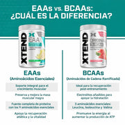 EEA's XTEND 40 Servicios by SCIVACTION