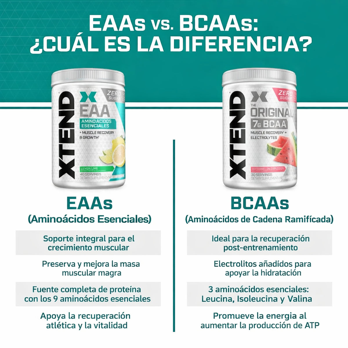 EEA's XTEND 40 Servicios by SCIVACTION