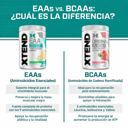 EEA's XTEND 40 Servicios by SCIVACTION